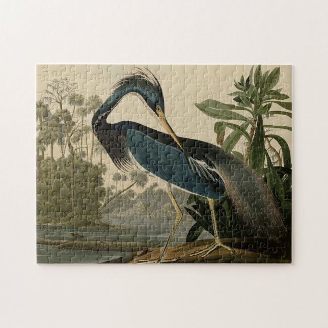 Quebra-cabeça Garça-real de Louisiana (Horizontal)