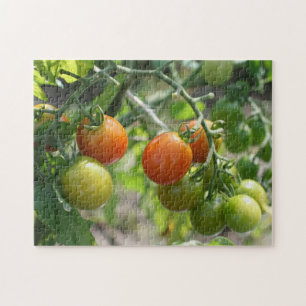 Quebra-cabeça Garden Chertomates Nature