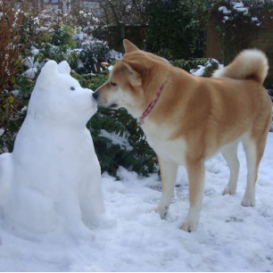 Quebra-cabeça gatinha akita beijando cachorro do boneco de neve