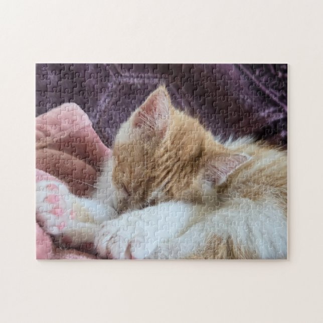 Quebra-cabeça Gatinho Adormecido (Horizontal)