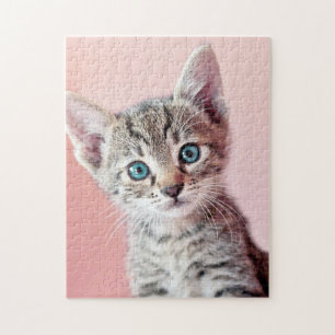 Quebra-cabeça Gatinho bonito com olhos azuis