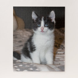 Quebra-cabeça Gatinho branco e preto