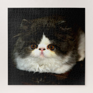 Quebra-cabeça Gatinho branco e preto