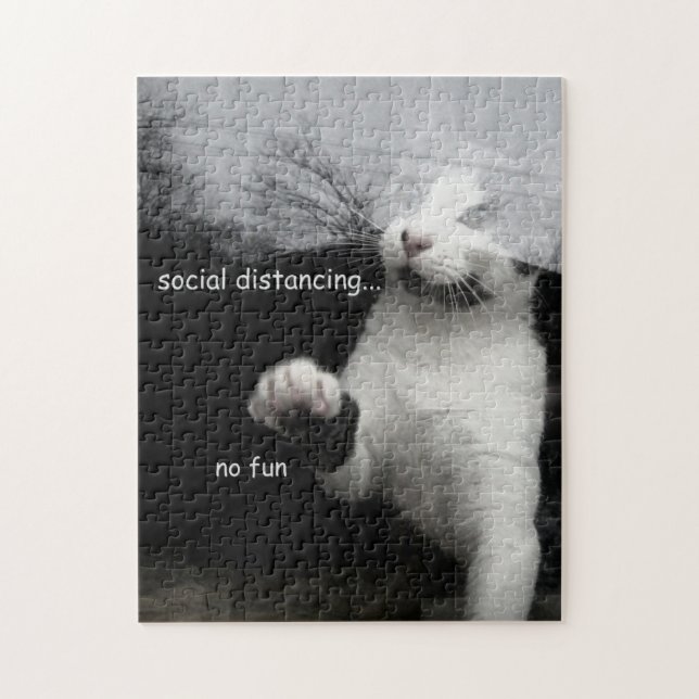 Quebra-cabeça Gatinho de Distância Social (Vertical)