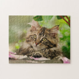 Quebra-cabeça Gatinho de Maine Coon bonito descansando em um jar