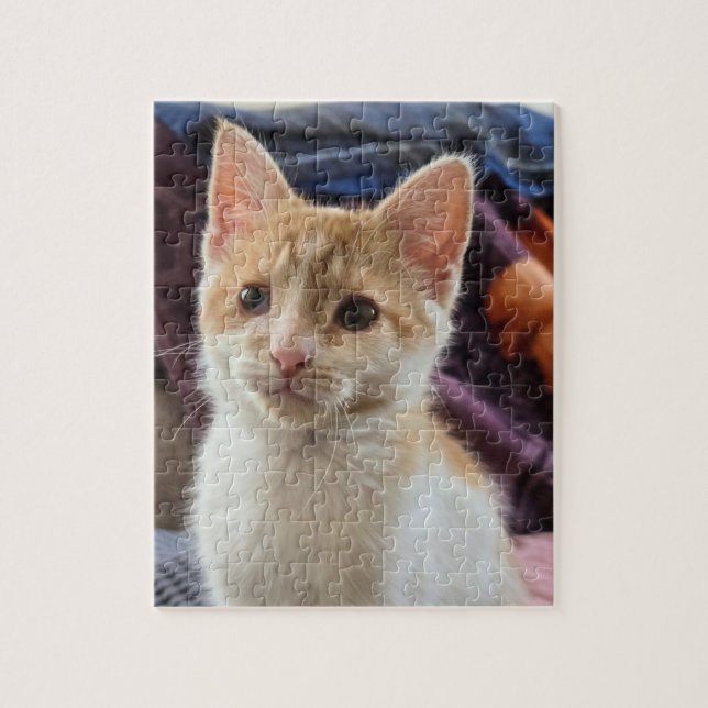 Quebra-cabeça Gatinho laranja (Vertical)
