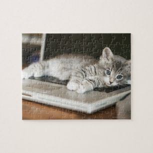 Quebra-cabeça Gatinho que descansa no computador portátil