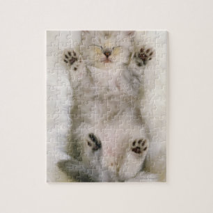 Quebra-cabeça Gatinho que dorme em um tapete macio branco,