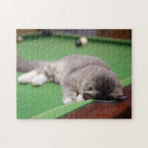 Quebra-cabeça Gatinho que joga a piscina