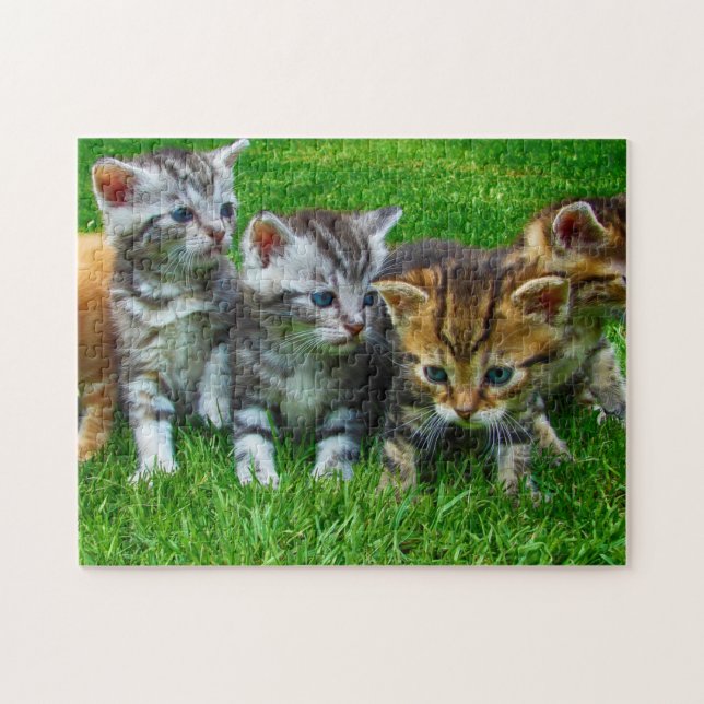 Quebra-Cabeça Gatinhos (Horizontal)