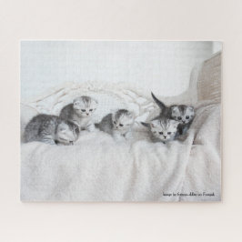 Quebra-cabeça Gatinhos Gelados
