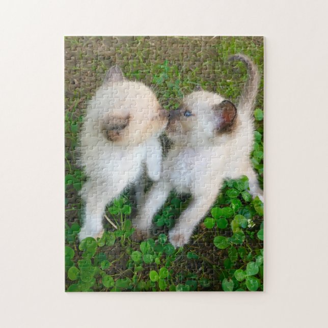 Quebra-cabeça gatinhos se beijando (Vertical)