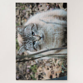 Quebra-cabeça Gato