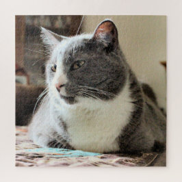 Quebra-cabeça Gato
