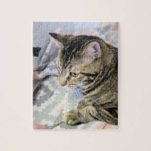 Quebra-cabeça Gato