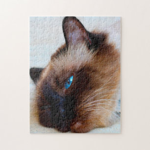 Quebra-cabeça Gato birmanês.