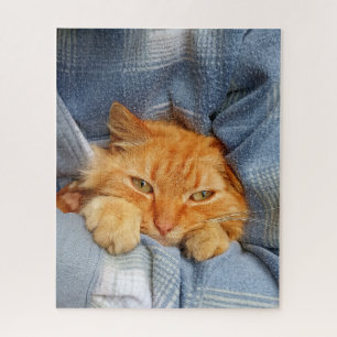 Quebra-cabeça Gato bonito