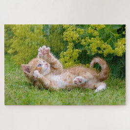 Quebra-cabeça Gato bonito brincando num jardim florido _