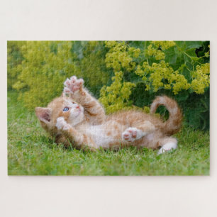 Quebra-cabeça Gato bonito brincando num jardim florido _