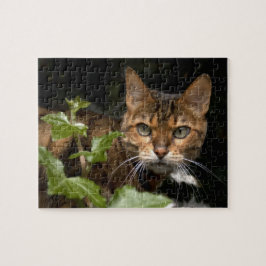 Quebra-cabeça Gato bonito de Bengal