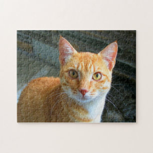 Quebra-cabeça Gato bonito do gengibre