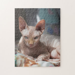 Quebra-cabeça Gato Bonito Saindo Sem Pele