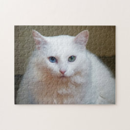 Quebra-cabeça Gato Branco