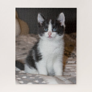 Quebra-cabeça Gato branco e preto