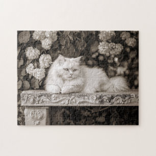 Quebra-cabeça Gato Branco no Jardim Flor