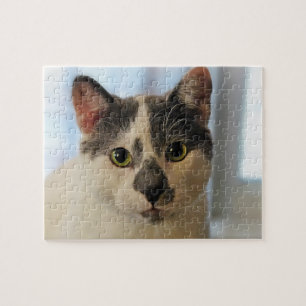 Quebra-cabeça Gato Cinto