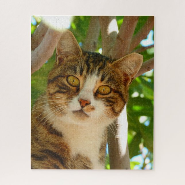 Quebra-cabeça Gato Curioso (Vertical)