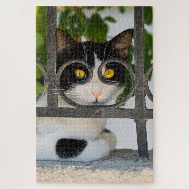 Quebra-cabeça Gato Curioso com Óculos Enquadre Engraçado (Vertical)