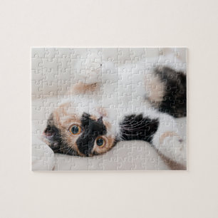 Quebra-cabeça Gato de chita que coloca em seu para trás com