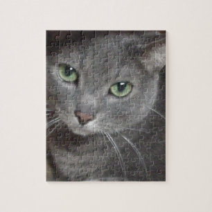 Quebra-cabeça Gato de Cinza azul russo
