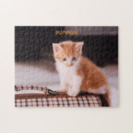 Quebra-cabeça Gato de laranja num cartucho de estimação / Orange