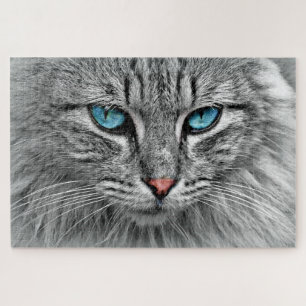 Quebra-cabeça Gato de Olho Azul