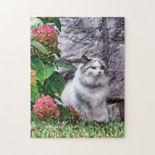 Quebra-cabeça Gato De Ragdoll Por Hydrangea
