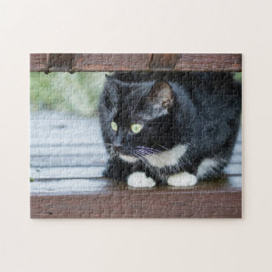 Quebra-cabeça Gato de smoking preto e branco