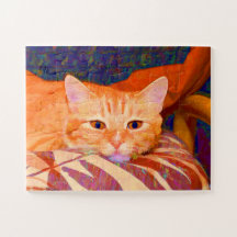 Gato de Tabby Laranja Engraçado