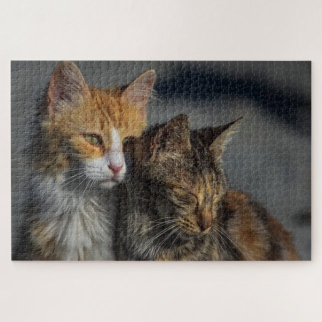 Quebra-cabeça Gato Fofo (Horizontal)