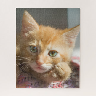 QUEBRA-CABEÇA GATO GINGER DE ANIVERSÁRIO 