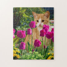 Gato Ginger no Jardim de Tulipas