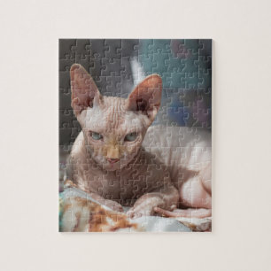 Quebra-cabeça Gato giro saltando sem pelo