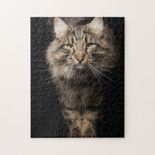 Quebra-cabeça Gato grande Maine Coon