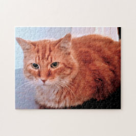 Quebra-cabeça Gato Laranja Tabby Foto Família Pet