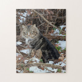 Quebra-cabeça Gato Maine Coon na Floresta Jigsaw Puzzle