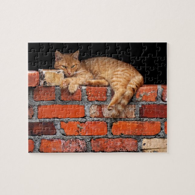 Quebra-cabeça Gato na Parede Brick (Horizontal)
