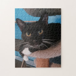 Quebra-cabeça Gato Negro