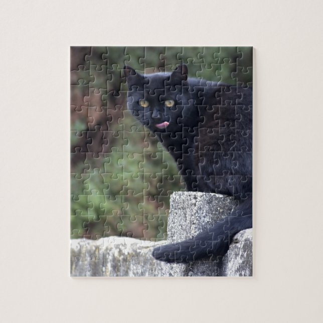 Quebra-cabeça Gato Negro (Vertical)