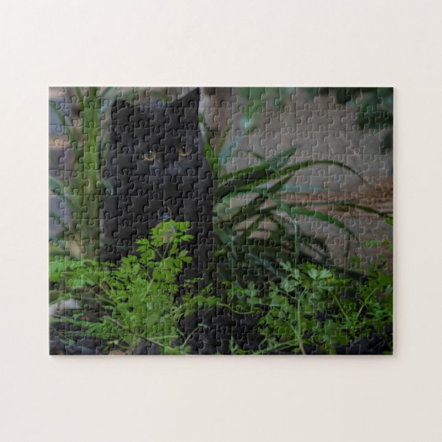 Quebra-cabeça Gato Negro Brincando no jardim, 252 pedaços (Horizontal)